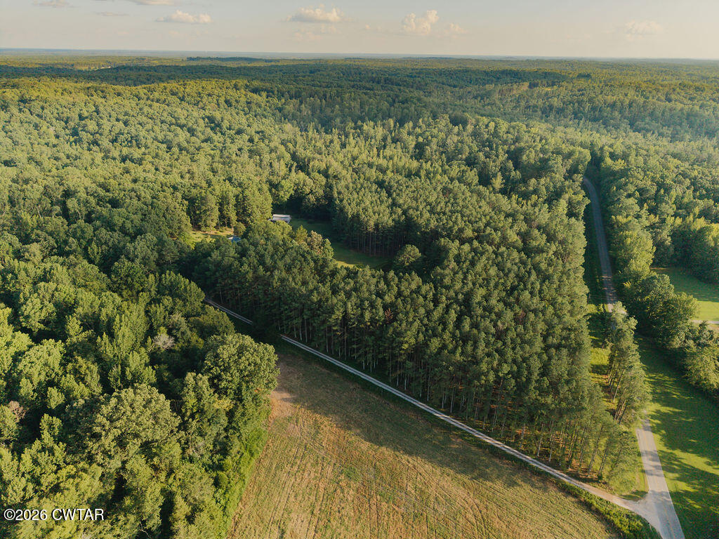 705 Cave Springs Road Henderson, TN 38340 - Photo 90 of 91 DJI_20260804071849_0087_D