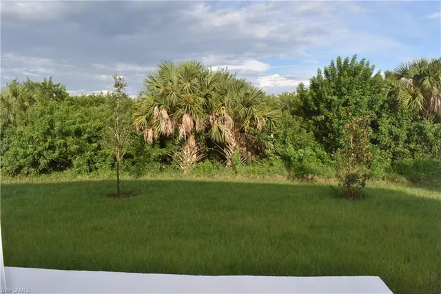 a view of a big yard