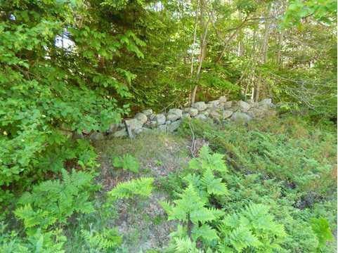 0 Route Road Hebron, ME 04238 - Photo 8 of 11 Land/Lot.