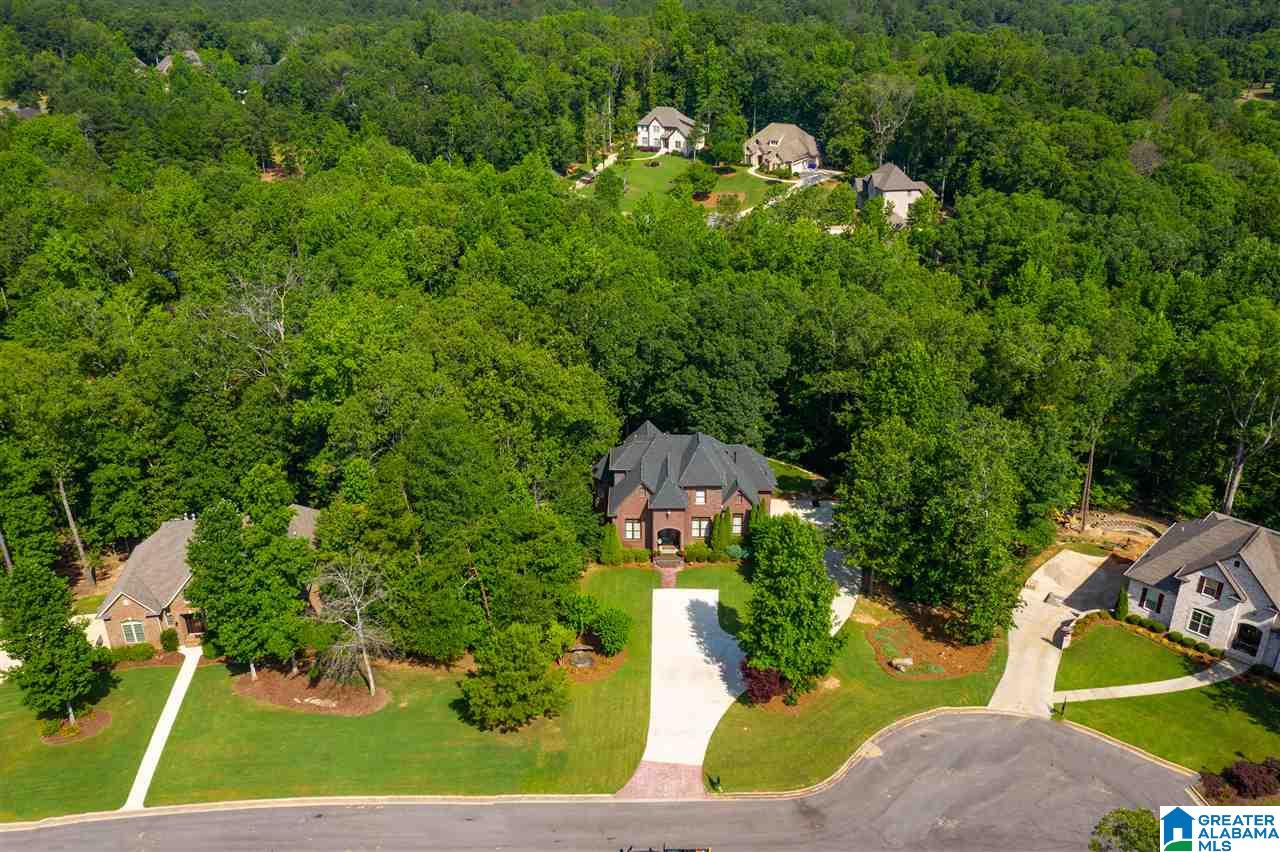 305 North Highland Ridge Court Chelsea, AL 35043 - Photo 3 of 50