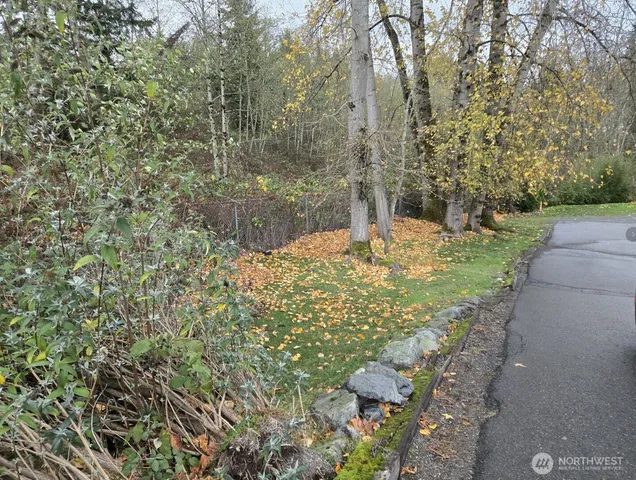 a view of a yard with plants