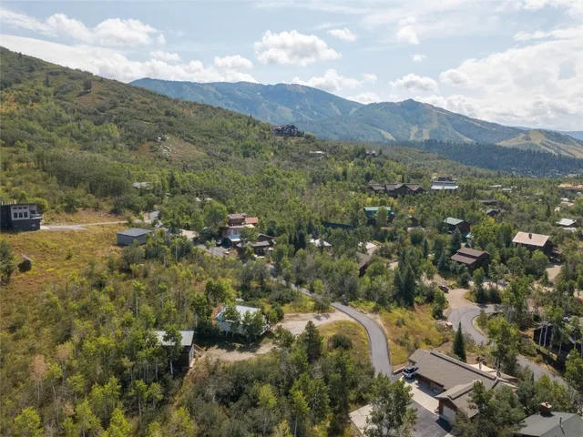 a view of a city and mountains