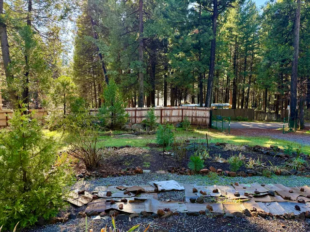 $298,980 | 33250 Plateau Pines Road, Shingletown, CA 96088