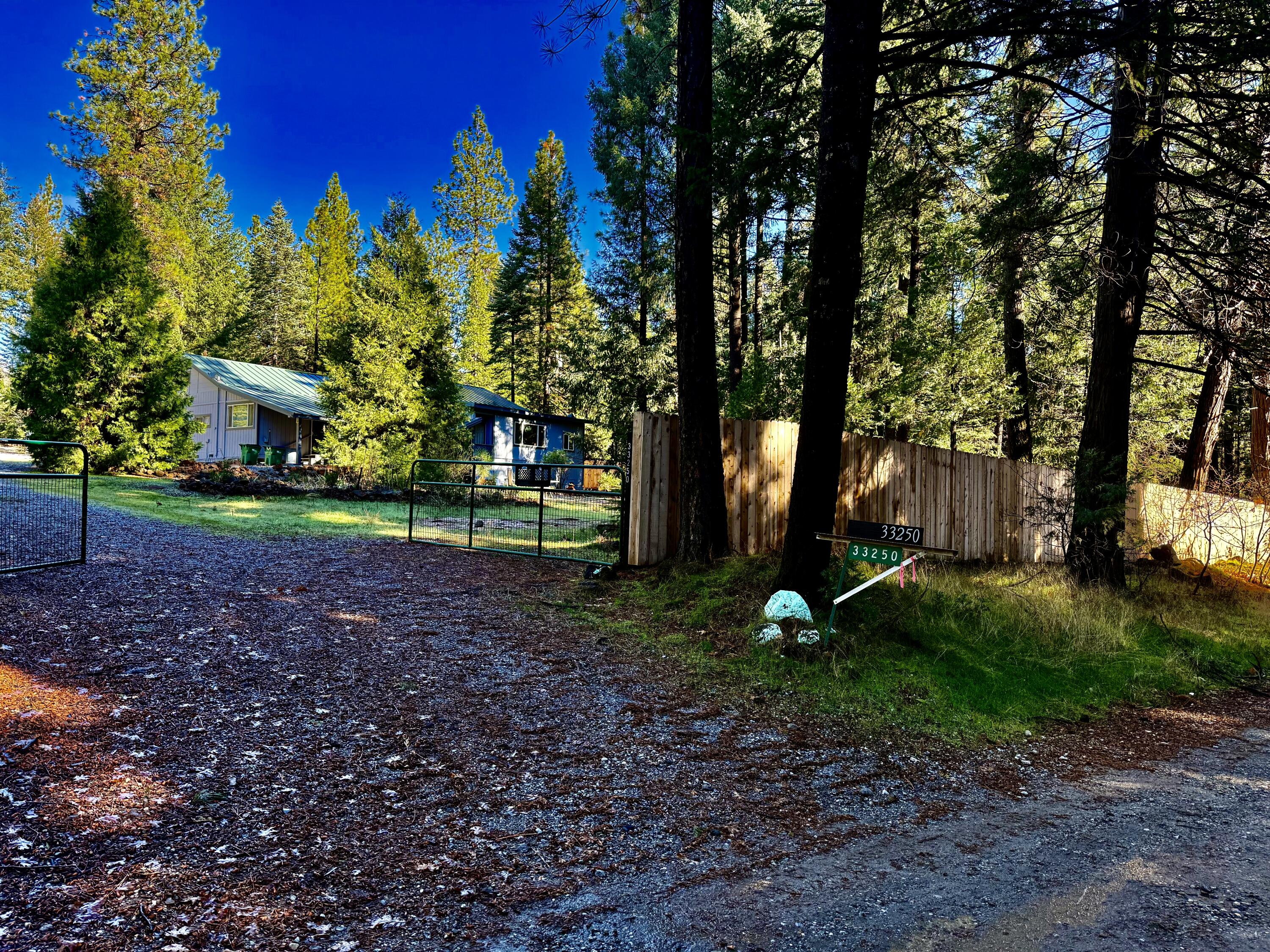 33250 Plateau Pines Road Shingletown, CA 96088 - Photo 2 of 52 View from road