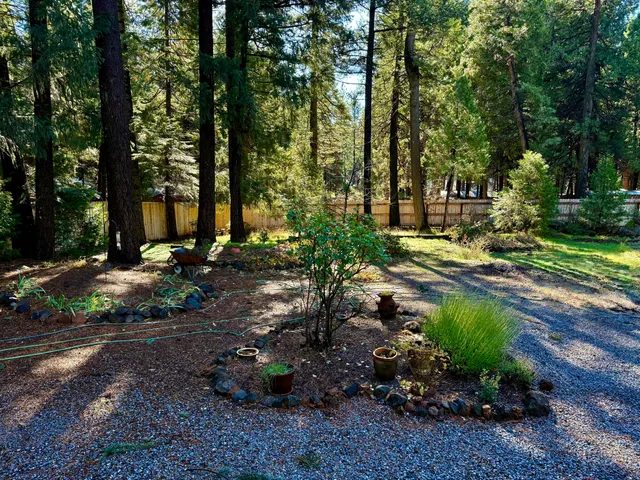 $298,980 | 33250 Plateau Pines Road, Shingletown, CA 96088