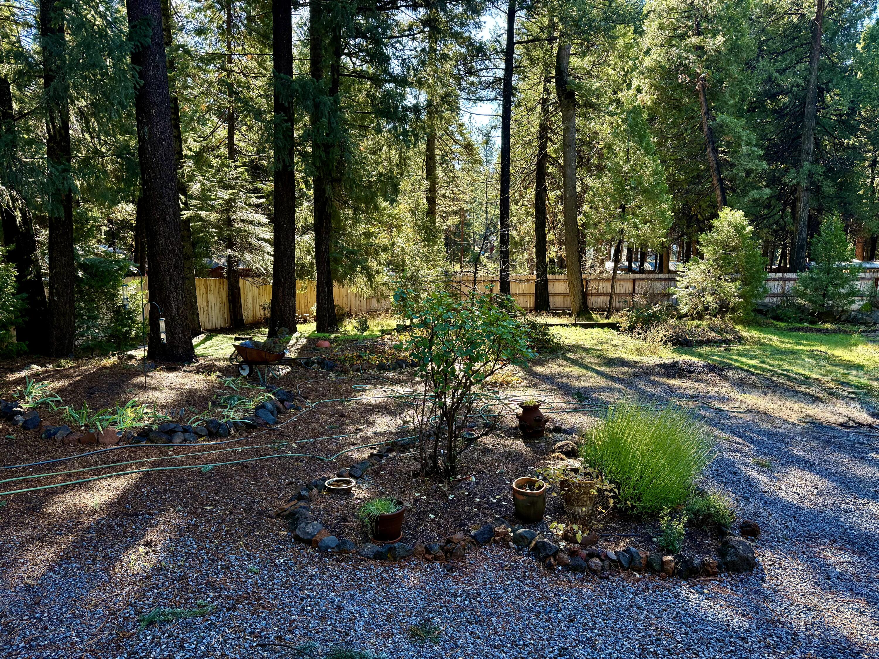 33250 Plateau Pines Road Shingletown, CA 96088 - Photo 21 of 52 IMG_2792