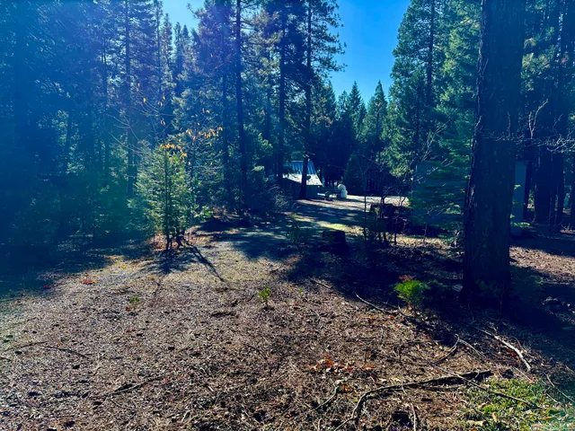 $298,980 | 33250 Plateau Pines Road, Shingletown, CA 96088
