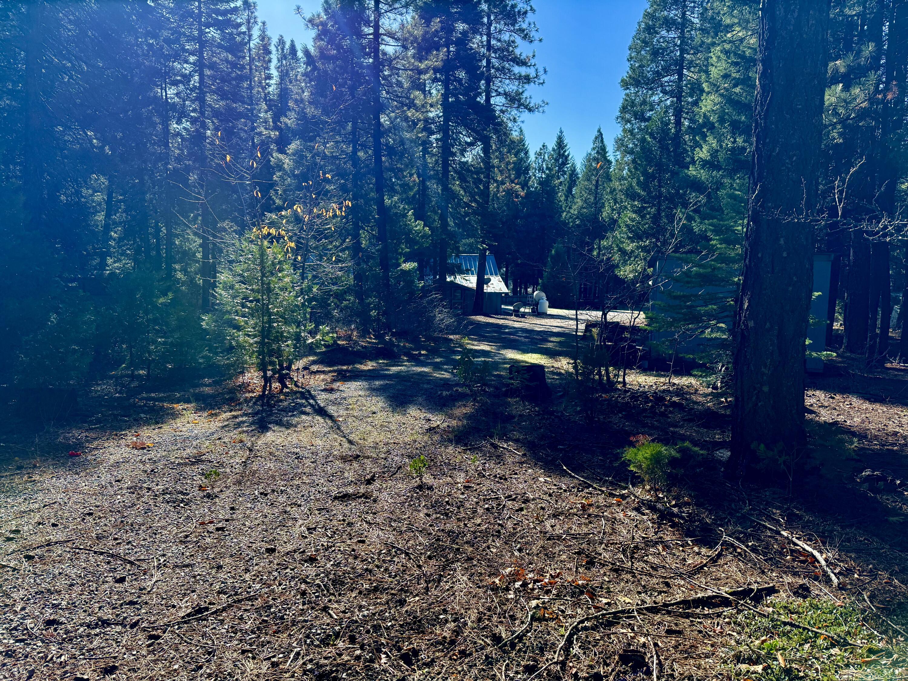 33250 Plateau Pines Road Shingletown, CA 96088 - Photo 23 of 52 IMG_2788