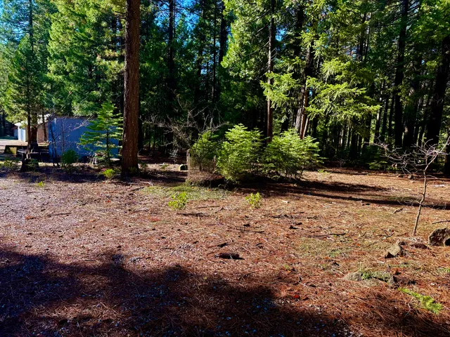 $298,980 | 33250 Plateau Pines Road, Shingletown, CA 96088