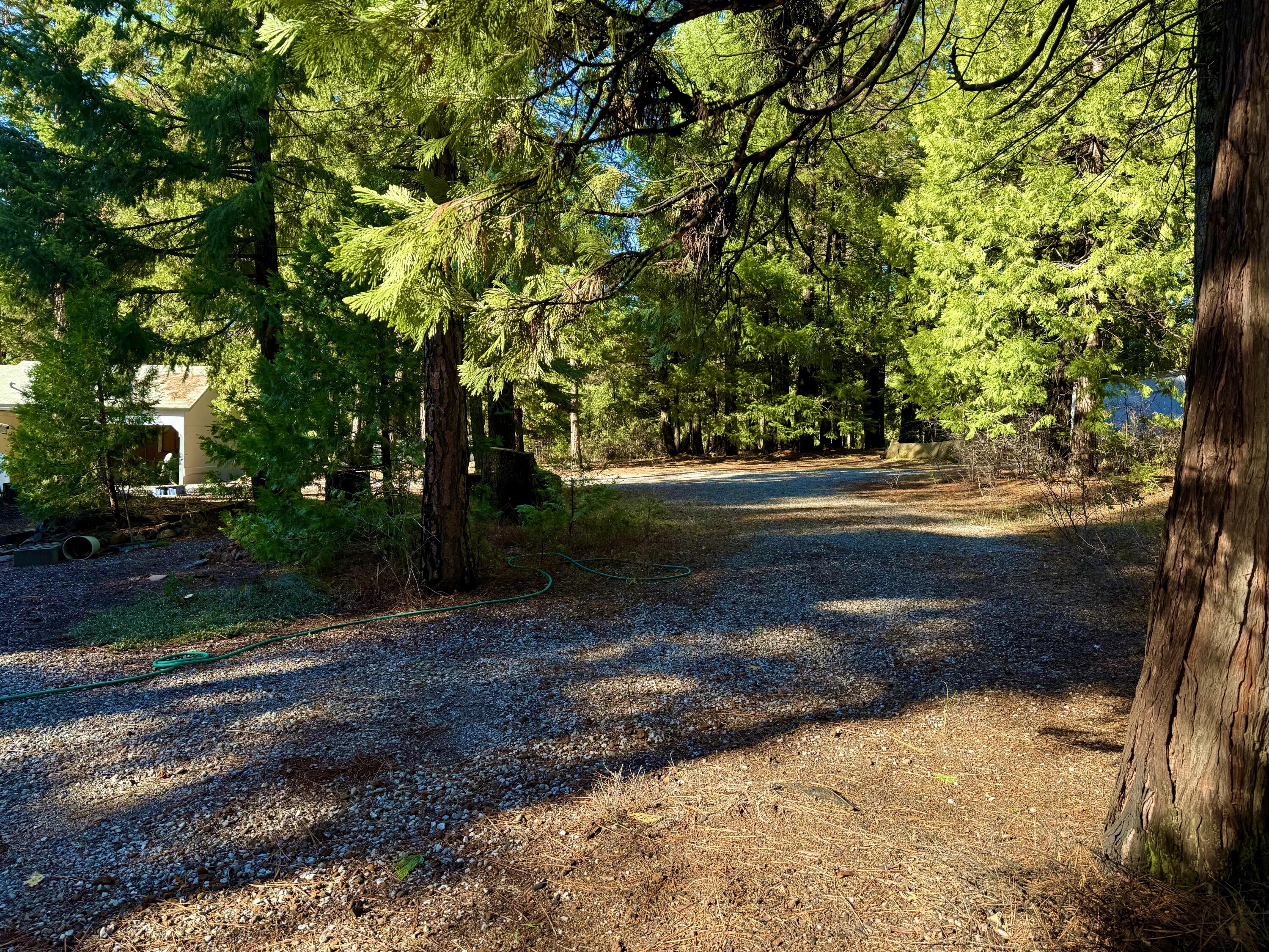 33250 Plateau Pines Road Shingletown, CA 96088 - Photo 25 of 52 IMG_2782