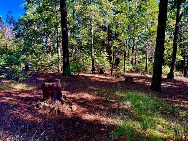 $298,980 | 33250 Plateau Pines Road, Shingletown, CA 96088