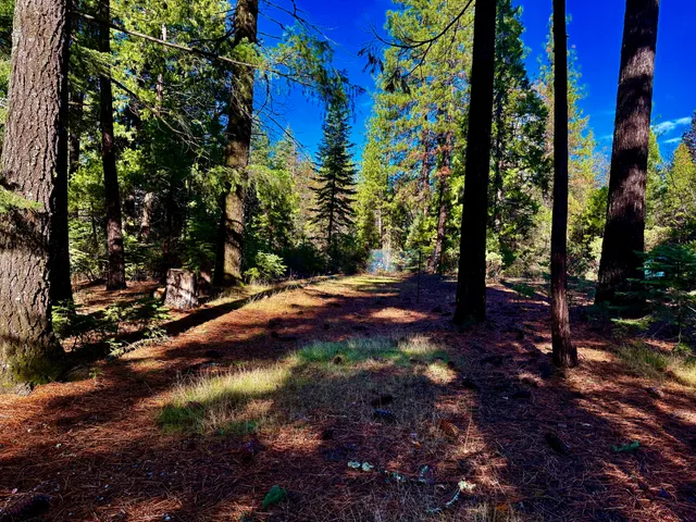 $298,980 | 33250 Plateau Pines Road, Shingletown, CA 96088