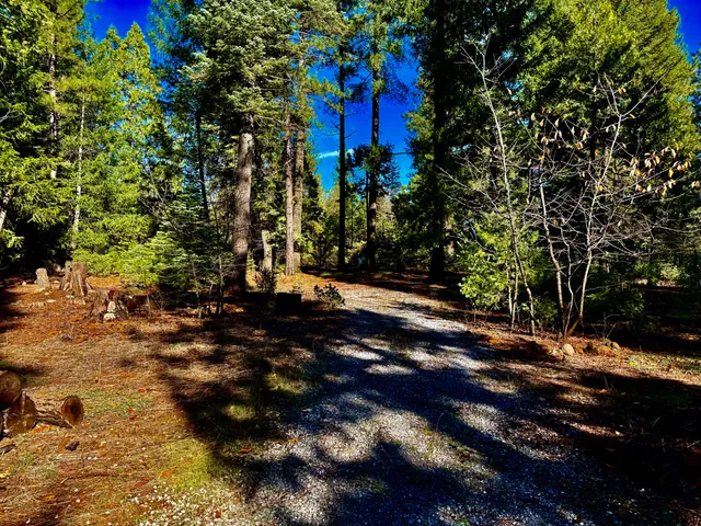 $298,980 | 33250 Plateau Pines Road, Shingletown, CA 96088