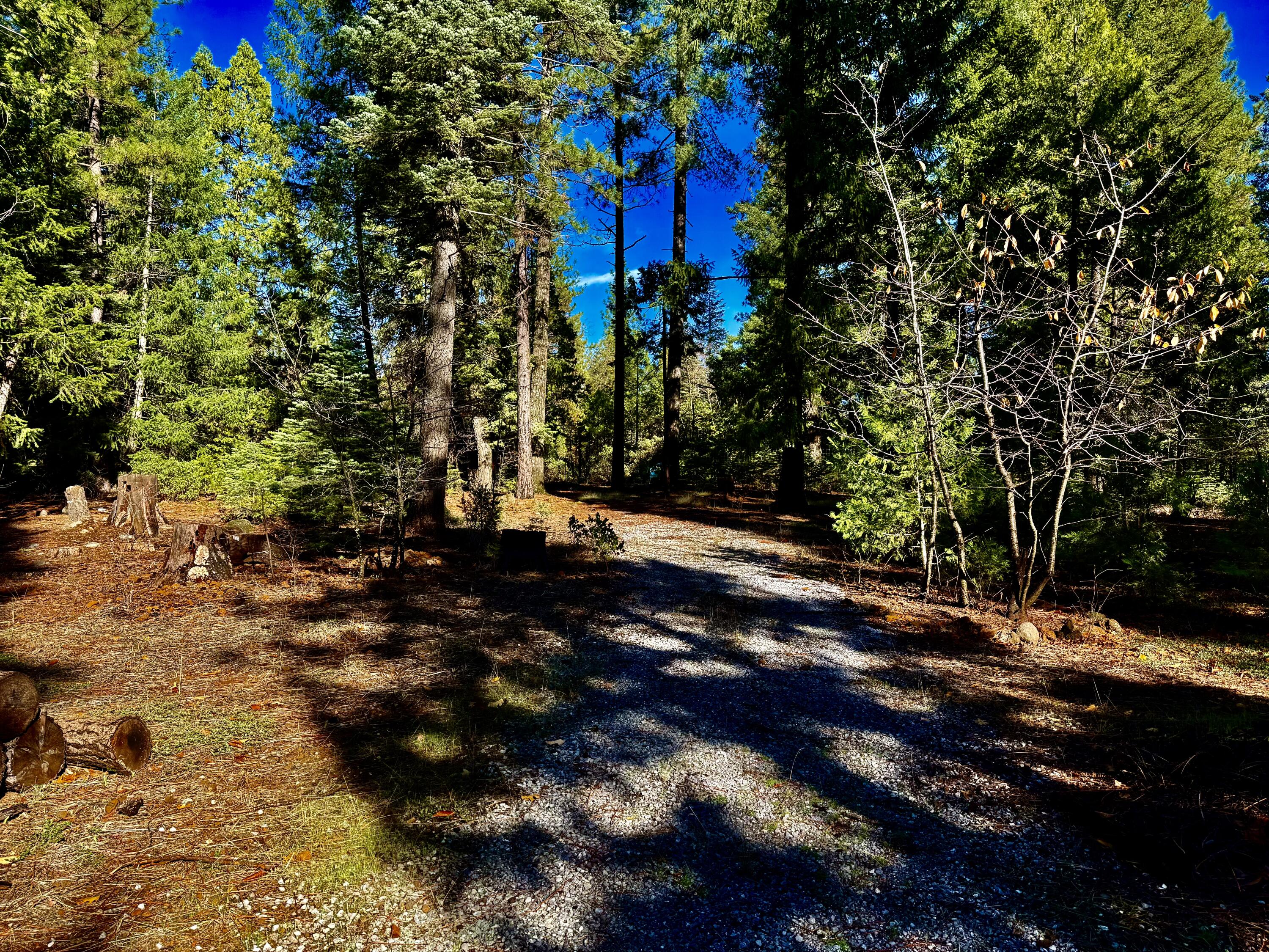33250 Plateau Pines Road Shingletown, CA 96088 - Photo 28 of 52 IMG_2784