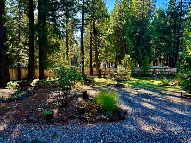 $298,980 | 33250 Plateau Pines Road, Shingletown, CA 96088