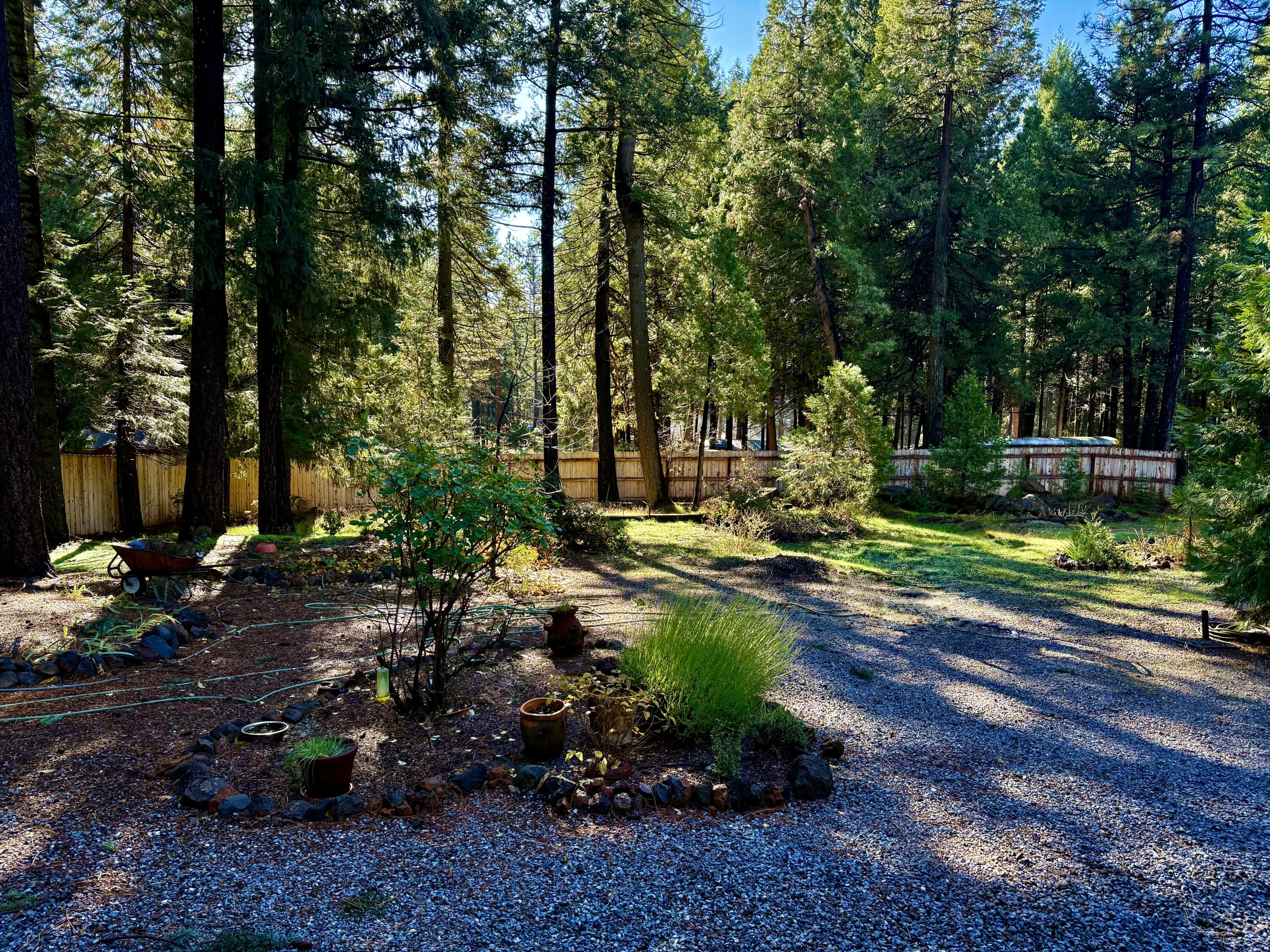 33250 Plateau Pines Road Shingletown, CA 96088 - Photo 29 of 52 IMG_2772
