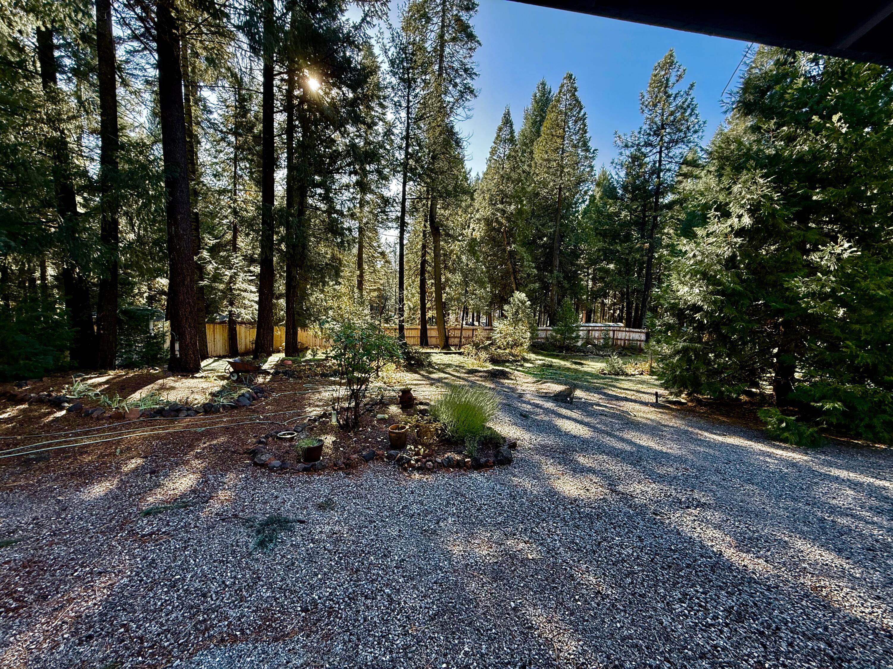 33250 Plateau Pines Road Shingletown, CA 96088 - Photo 30 of 52 IMG_2771