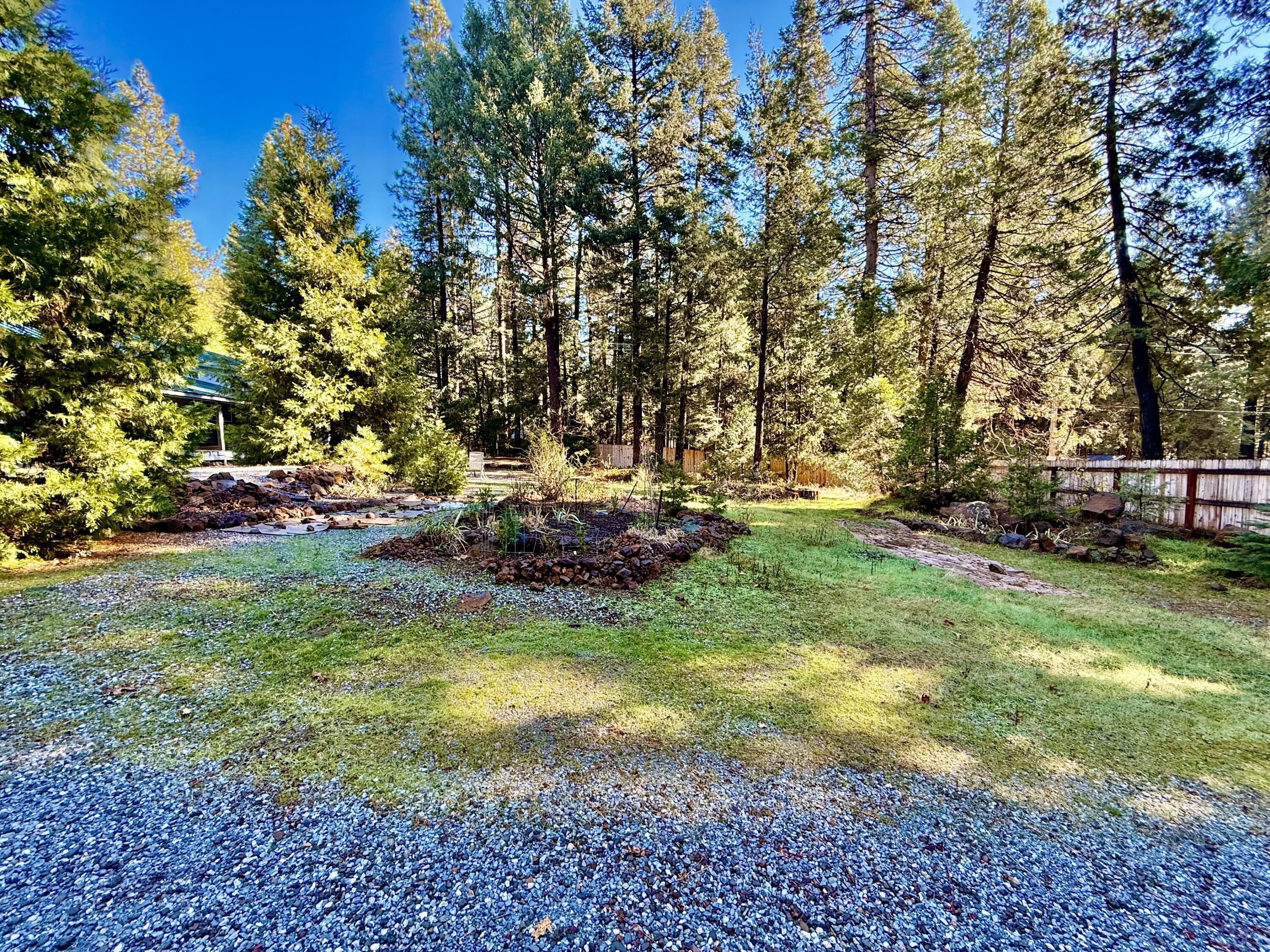 33250 Plateau Pines Road Shingletown, CA 96088 - Photo 31 of 52 IMG_2765