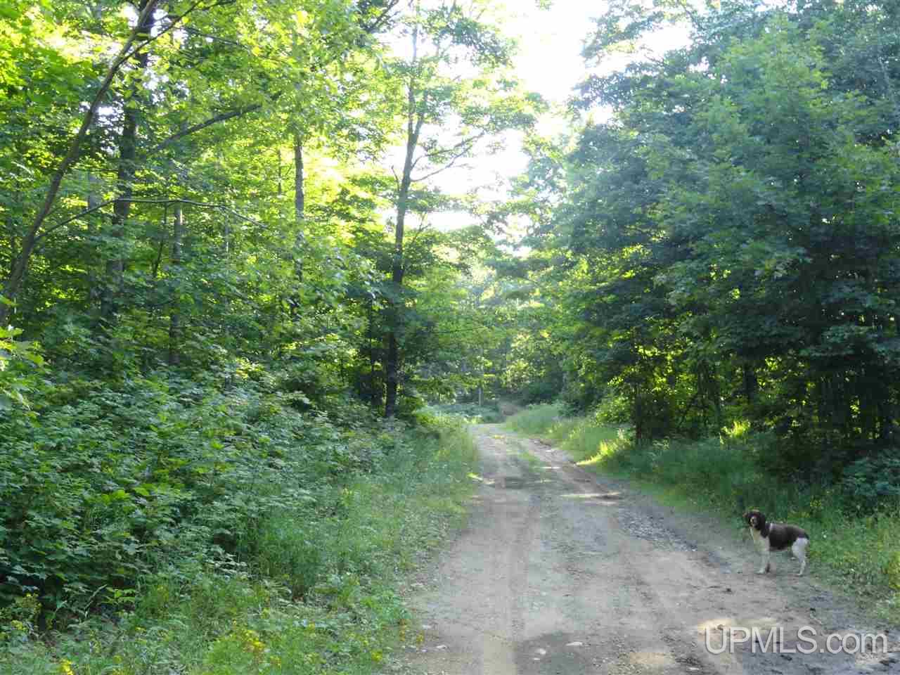 80 NORTH Off Co Road Ishpeming, MI 49849 - Photo 11 of 19