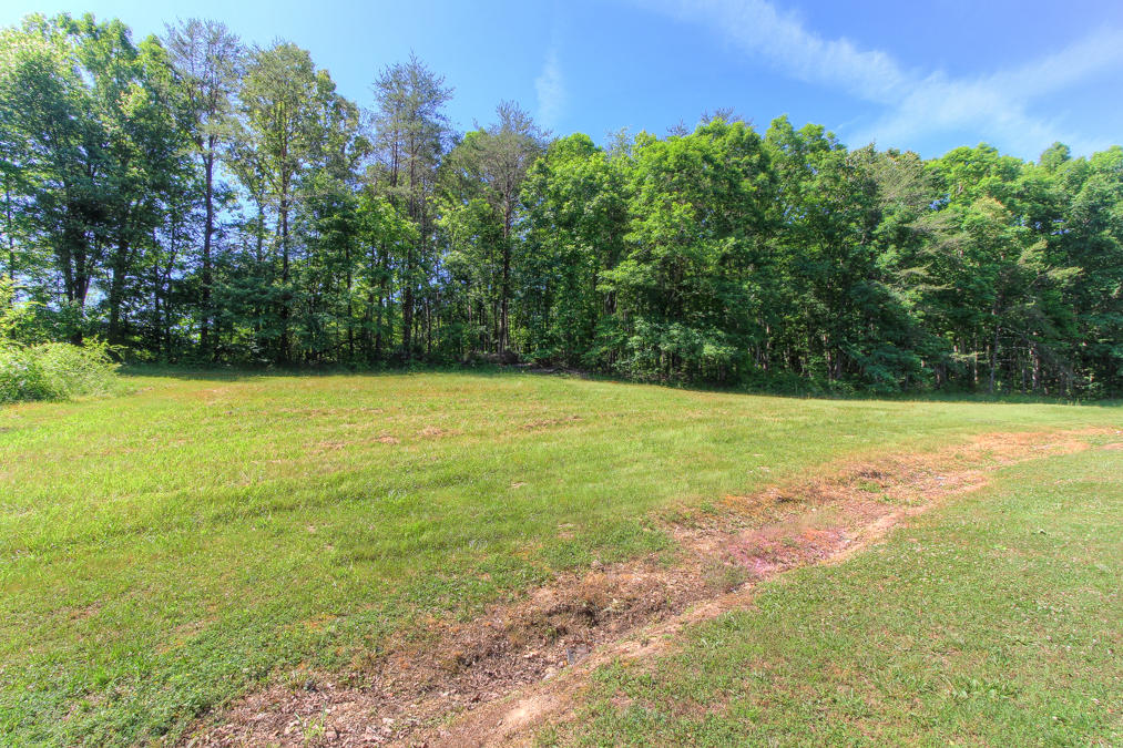 215 Mans Hollow Road Ten Mile, TN 37880 - Photo 22 of 25 + Perceptions (22)