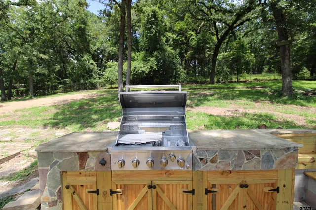 a view of a yard with plants