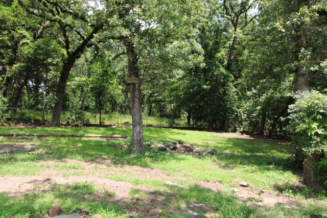 a view of a park with large trees