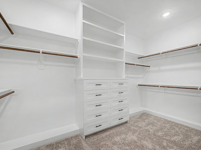 1220 Appaloosa Circle Angleton, TX 77515 - Photo 30 of 31 Primary Walk-In Closet