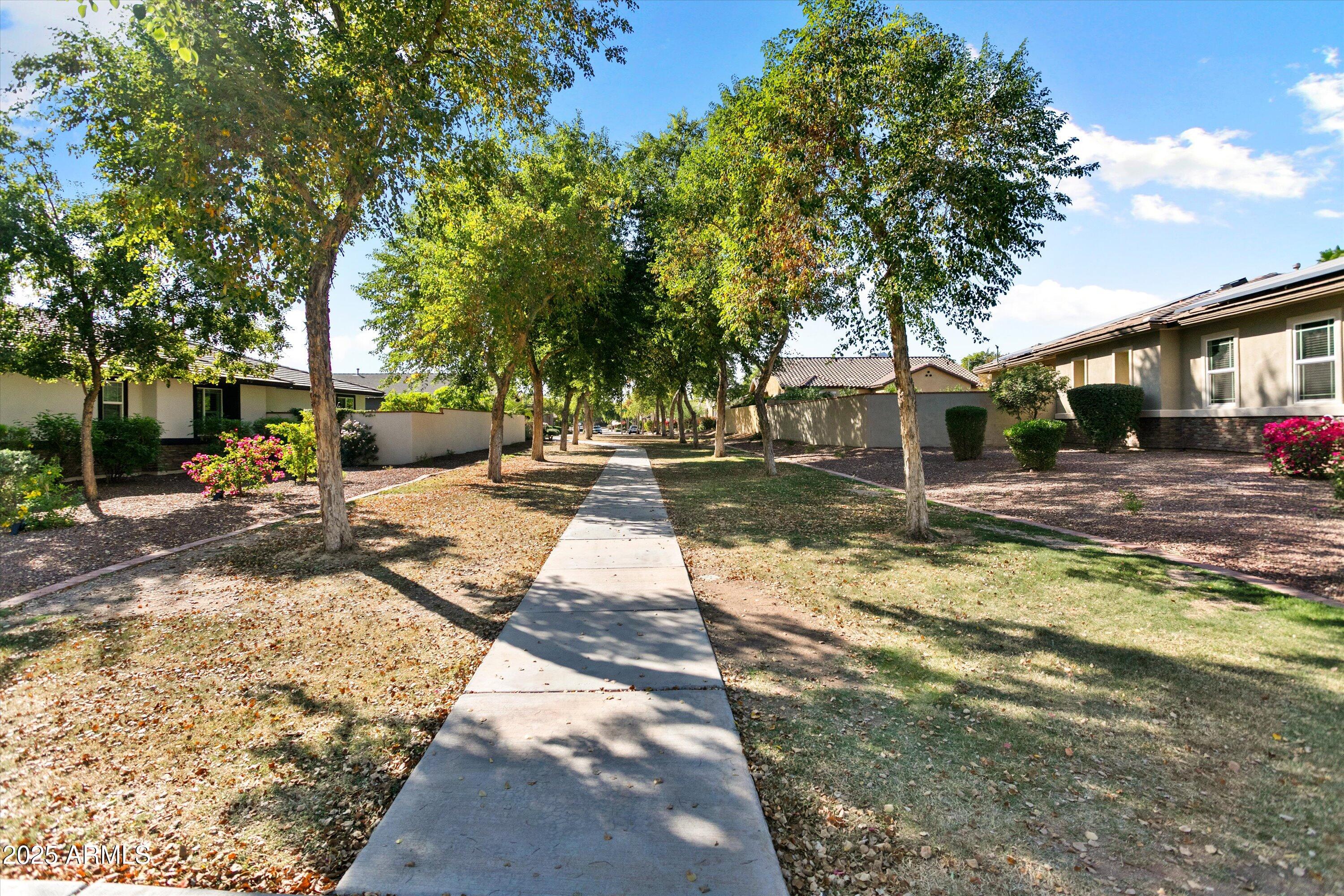 3197 North Springfield Street Buckeye, AZ 85396 - Photo 57 of 60 a view of a yard with plants and trees