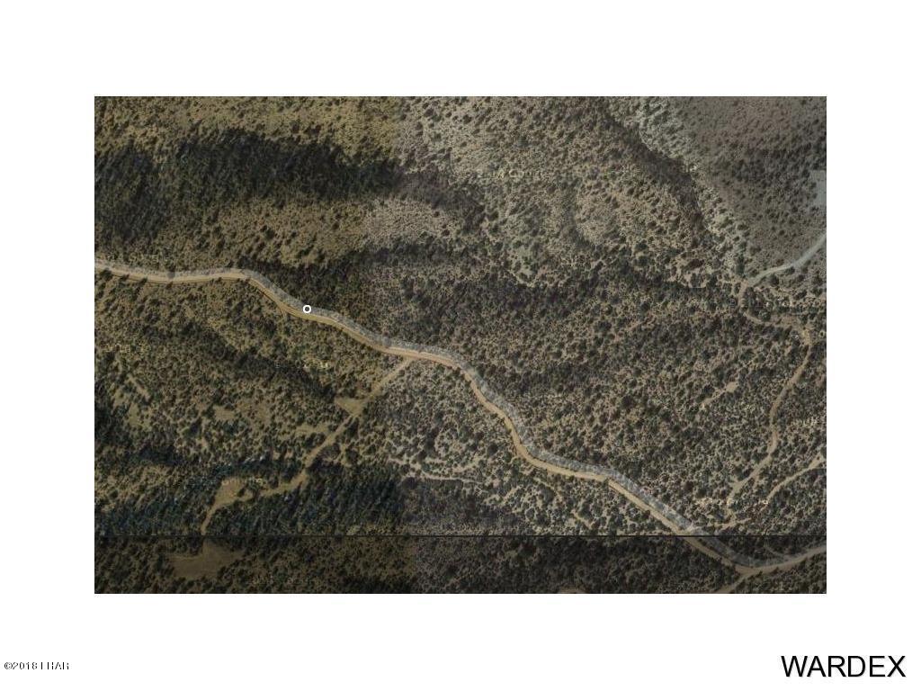 0 North Mountain Springs Road Hackberry, AZ 86411 - Photo 2 of 6 20180126005820780684000000-o