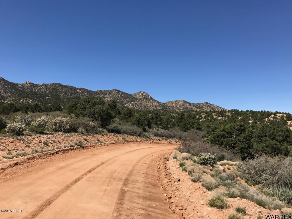 0 North Mountain Springs Road Hackberry, AZ 86411 - Photo 3 of 6 20180126005820894582000000-o