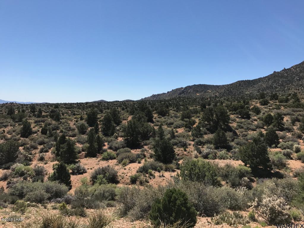 0 North Mountain Springs Road Hackberry, AZ 86411 - Photo 4 of 6 20180126005821044552000000-o
