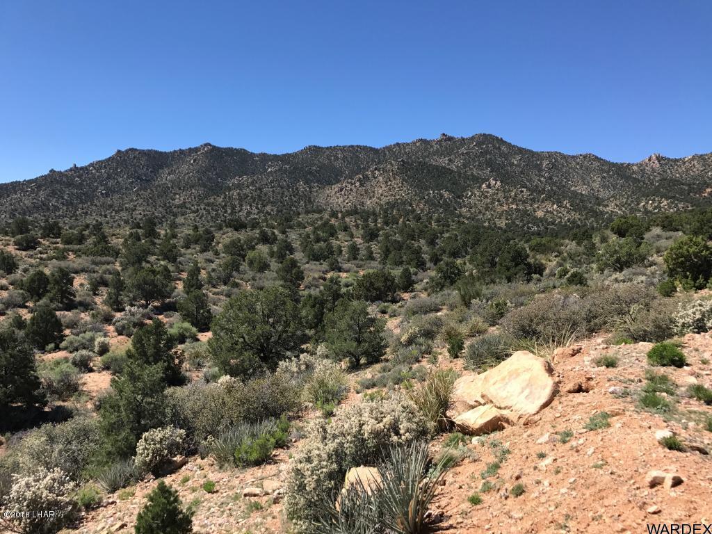 0 North Mountain Springs Road Hackberry, AZ 86411 - Photo 5 of 6 20180126005821164656000000-o