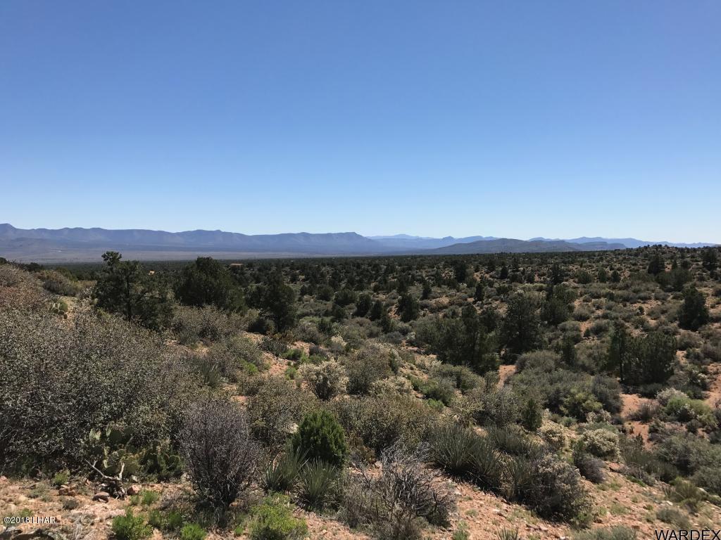 0 North Mountain Springs Road Hackberry, AZ 86411 - Photo 6 of 6 20180126005821286359000000-o