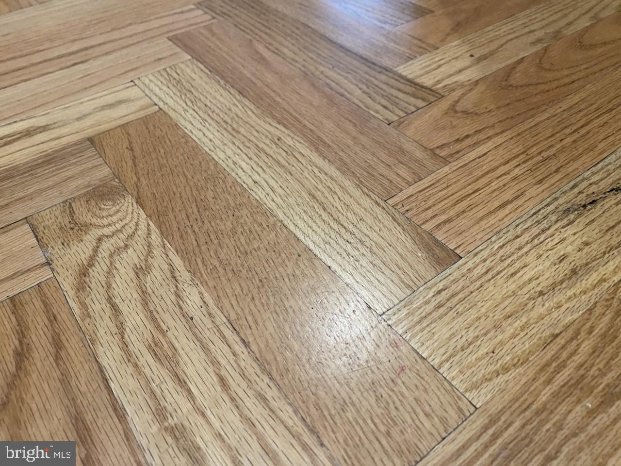 1306 34th Street Northwest Washington, DC 20007 - Photo 8 of 10 Entryway Flooring