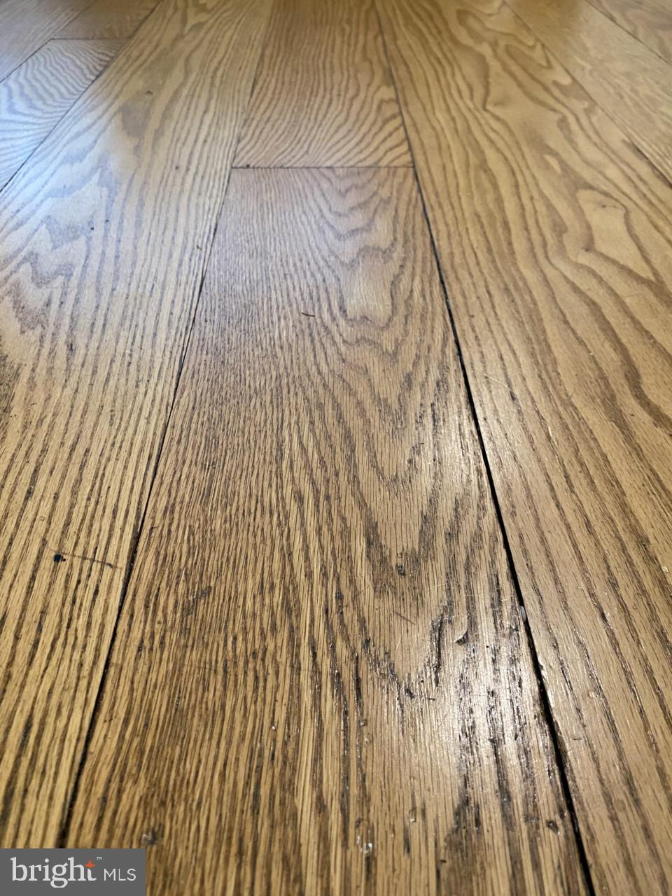 1306 34th Street Northwest Washington, DC 20007 - Photo 9 of 10 First level floor