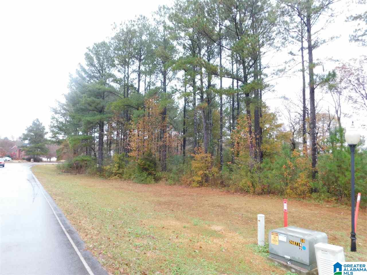 Montcrest Street South, Unit 26 & 77 Cullman, AL 35057 - Photo 10 of 14