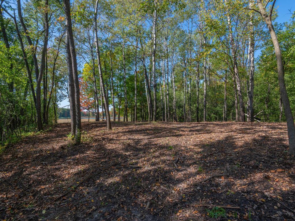 797 Ferndale Road North Wayzata, MN 55391 - Photo 3 of 13