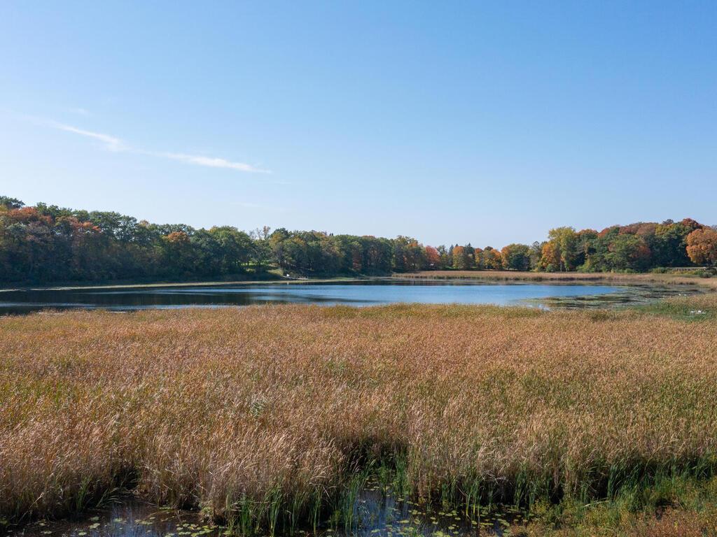 797 Ferndale Road North Wayzata, MN 55391 - Photo 4 of 13