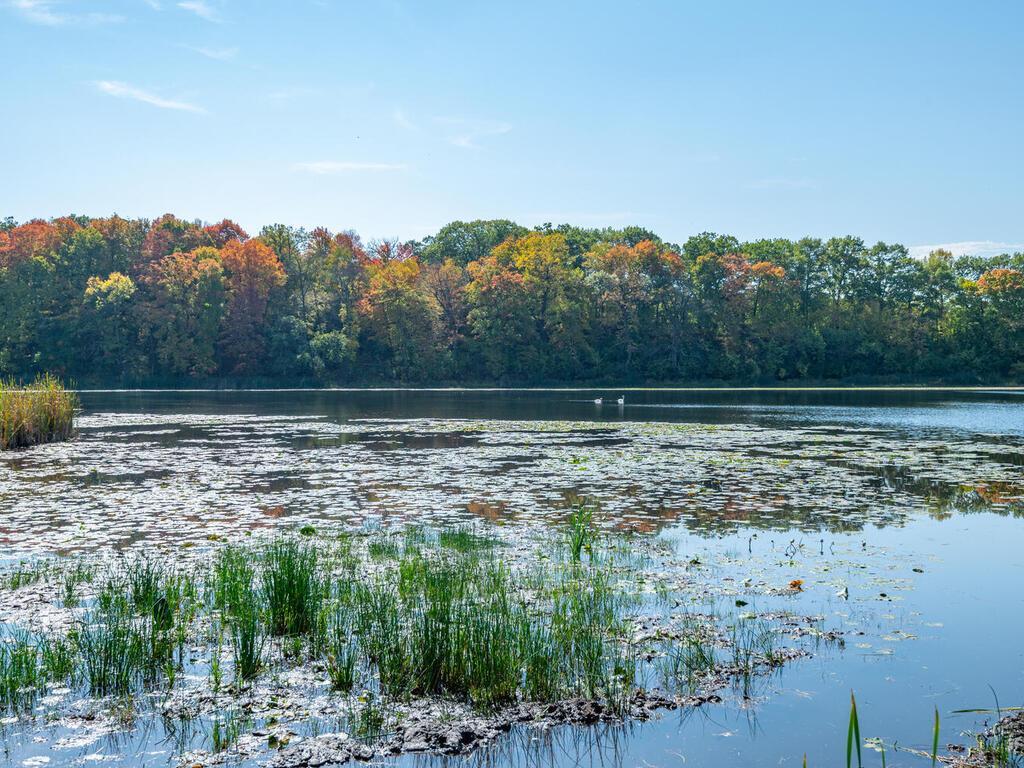 797 Ferndale Road North Wayzata, MN 55391 - Photo 6 of 13