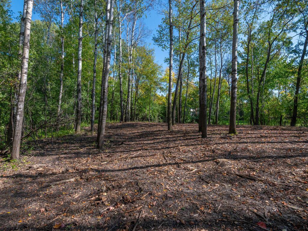 797 Ferndale Road North Wayzata, MN 55391 - Photo 7 of 13