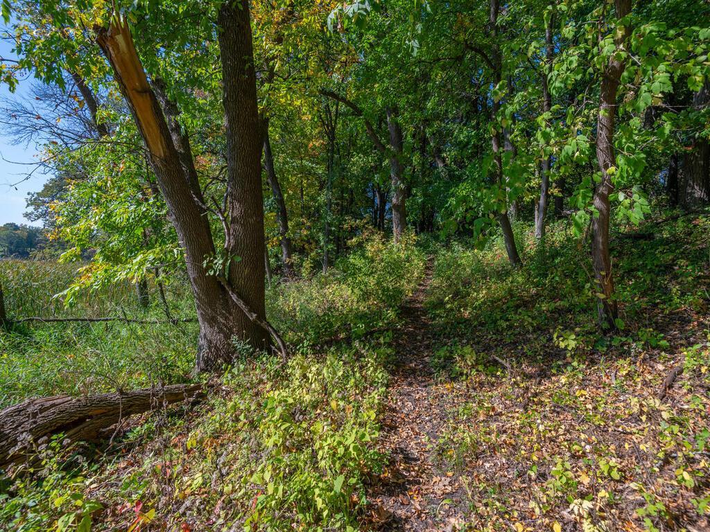 797 Ferndale Road North Wayzata, MN 55391 - Photo 8 of 13