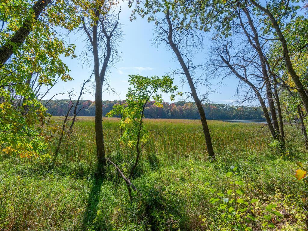 797 Ferndale Road North Wayzata, MN 55391 - Photo 9 of 13