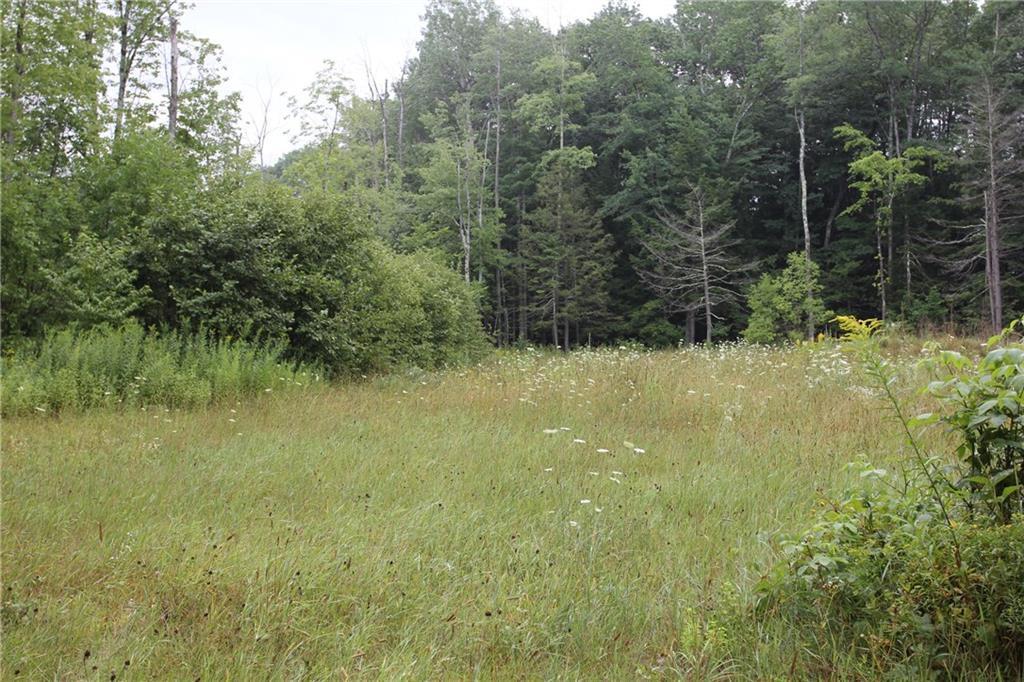 0 Verrill Road Minot, ME 04258 - Photo 6 of 12 Photo