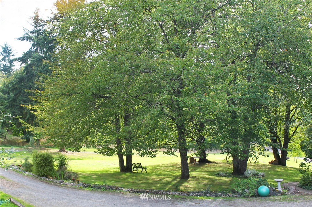 10649 Southwest Cedarhurst Road Vashon, WA 98070 - Photo 2 of 25 a view of a yard with plants and trees