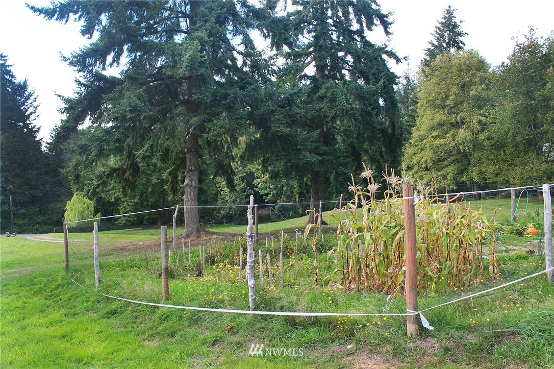 10649 Southwest Cedarhurst Road Vashon, WA 98070 - Photo 21 of 25 a view of a backyard
