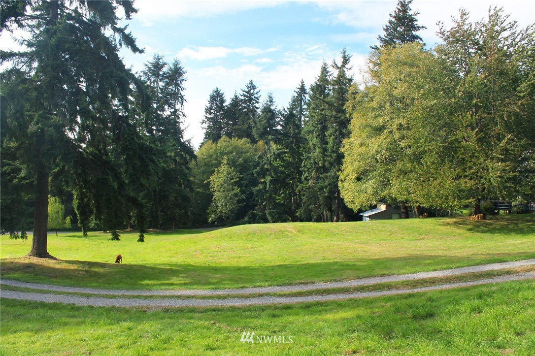 10649 Southwest Cedarhurst Road Vashon, WA 98070 - Photo 22 of 25 a view of a volley ball court