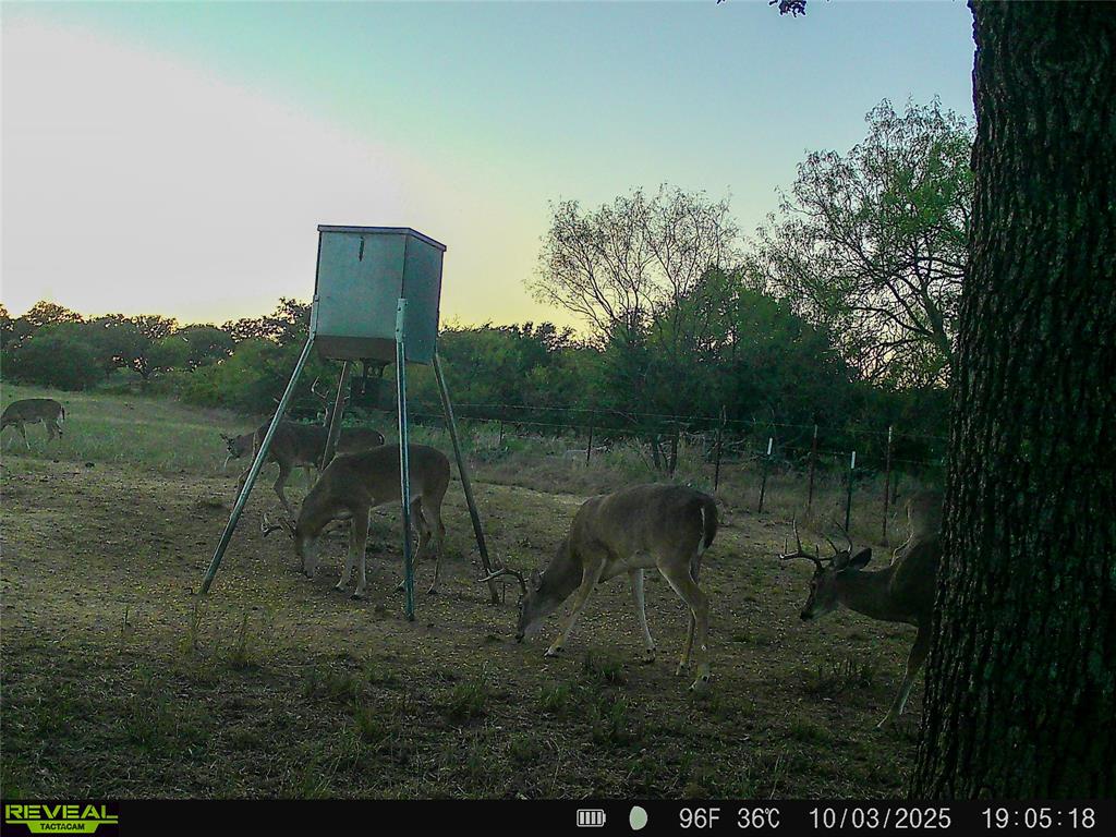 2417 Highway 569 Cisco Tx 76437 Cisco, TX 76437 - Photo 7 of 40