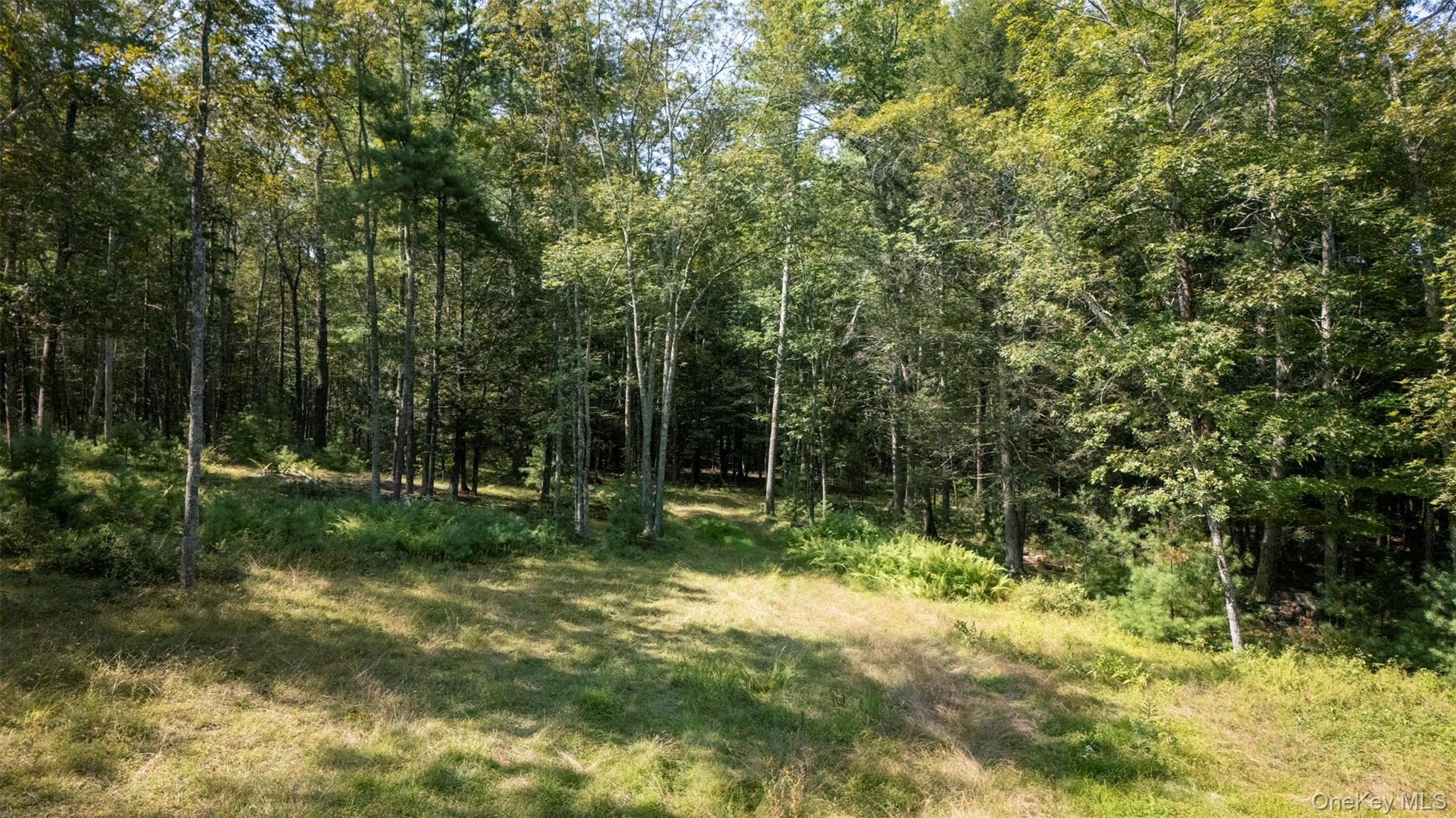 327 Phillips Road Saugerties, NY 12477 - Photo 14 of 24 a view of outdoor space and yard