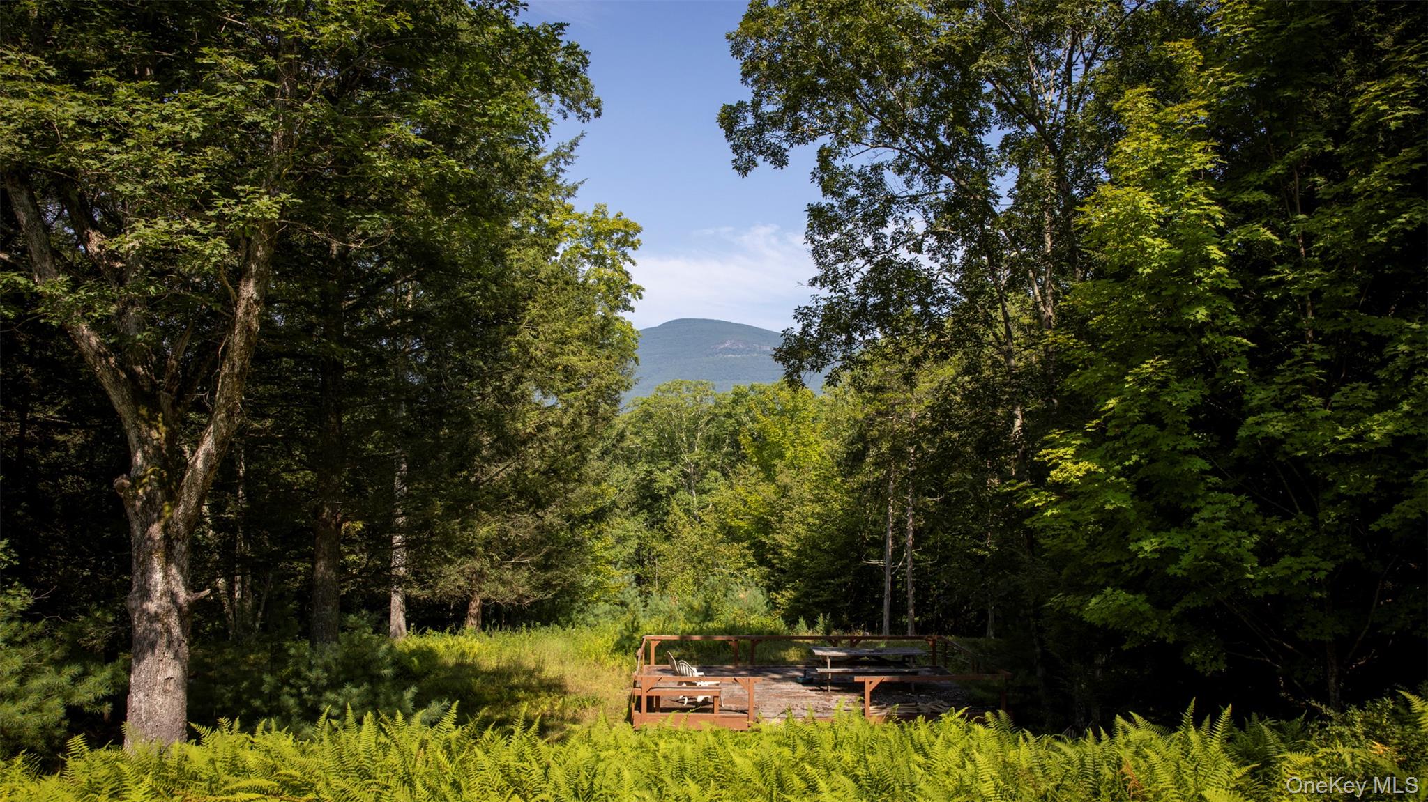 327 Phillips Road Saugerties, NY 12477 - Photo 16 of 24 a view of backyard with swimming pool and green space