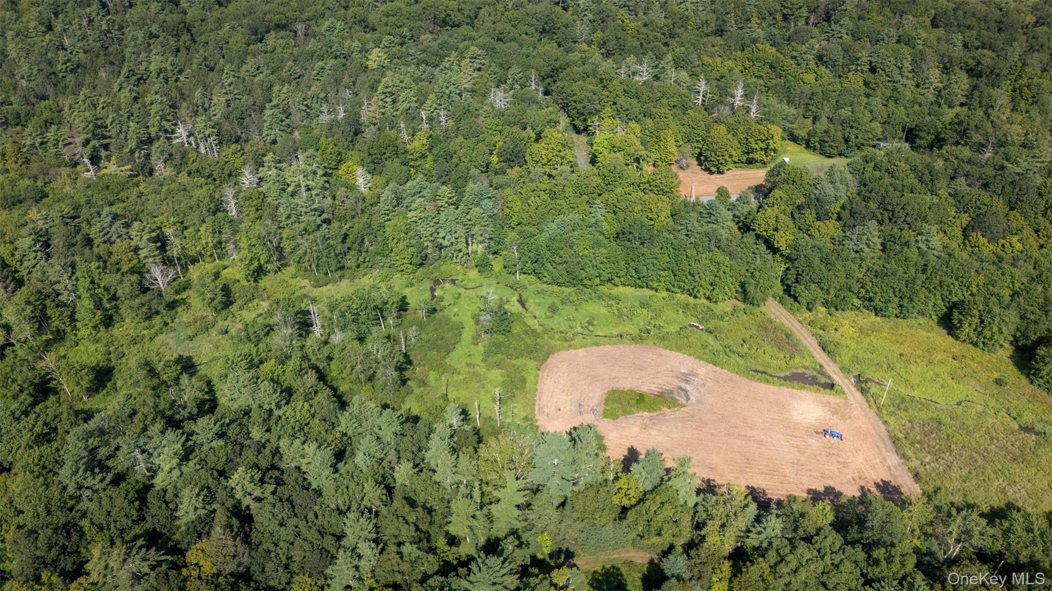 327 Phillips Road Saugerties, NY 12477 - Photo 22 of 24 a view of a forest with a street and trees